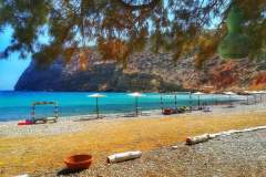 ΧΕΛΑΤΡΟΣ-